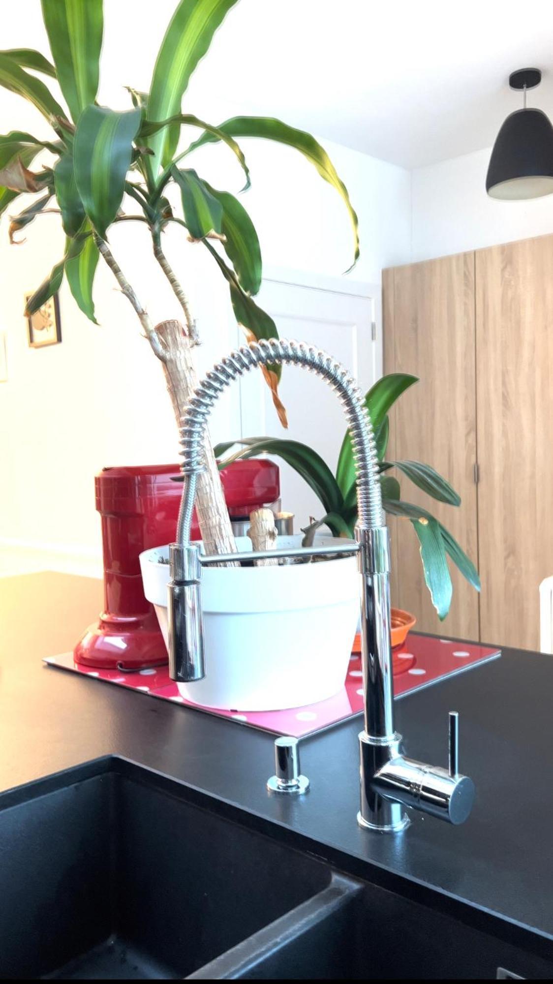 Appartement 3 Chambres Centre Vilvoorde Bruxelles Brusselsairport Expo Nato Anvers Wifi Free Parking Esterno foto